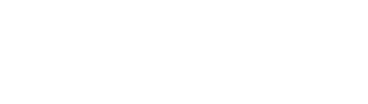 Amir Mehdi Vaseghi